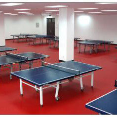 1.8m Width Relle PVC Vinyl Table Tennis Court Flooring Mat for Training
