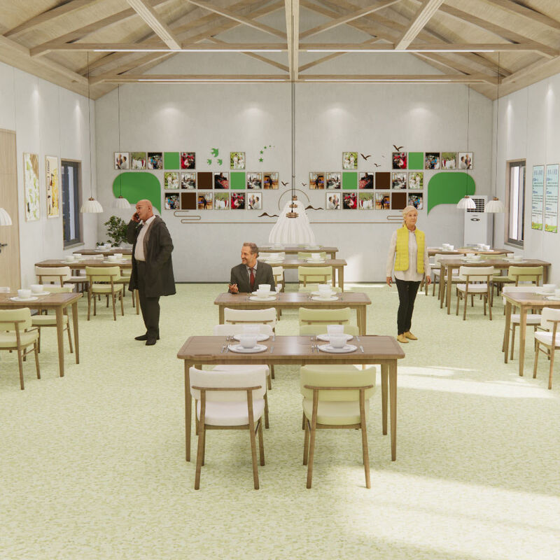 Impact-Resistant Homogeneous Flooring with Anti-Scratch Surface for Nursing Home Patient Rooms