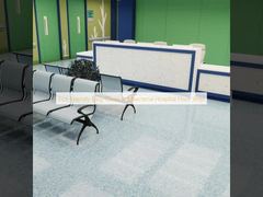 Eco-Friendly Easy-Clean Antibacterial Hospital Floor Vinyl